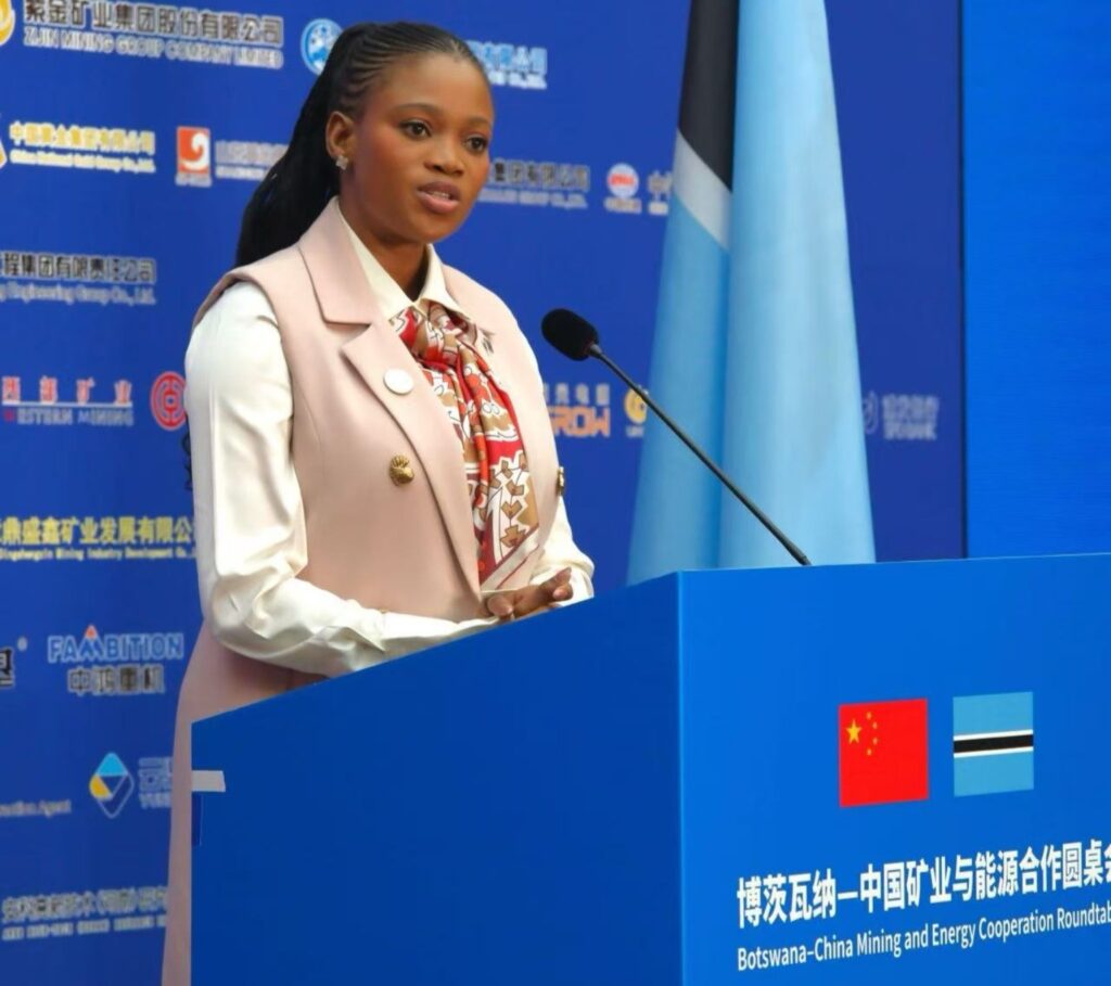 Botswana Minerals and Energy Minister Bogolo Joy Kenewendo addresses the Botswana–China Mining and Energy Cooperation Roundtable in Tianjin.