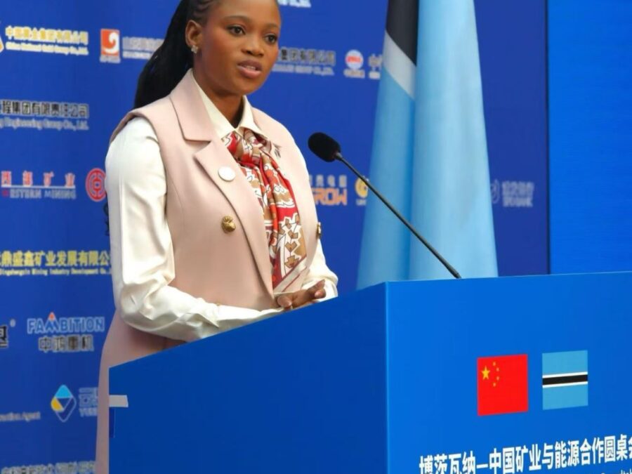 Botswana Minerals and Energy Minister Bogolo Joy Kenewendo addresses the Botswana–China Mining and Energy Cooperation Roundtable in Tianjin.